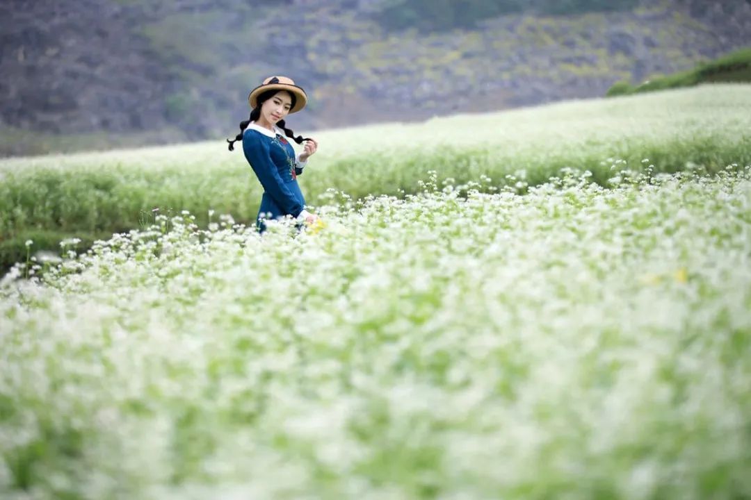甘南|就没见过哪个过气网红,还能好看成这样的