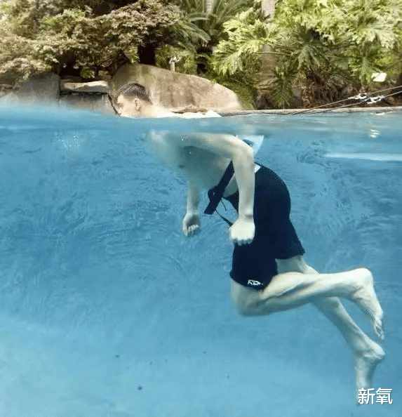 麦当娜|64岁麦当娜又上热搜!23岁奶狗新男友秀恩爱,网友:太下头了?