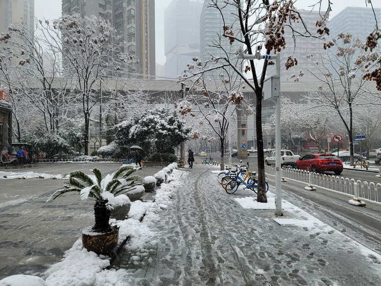 长焦镜头|用手机来拍雪花,怎么就这么难?