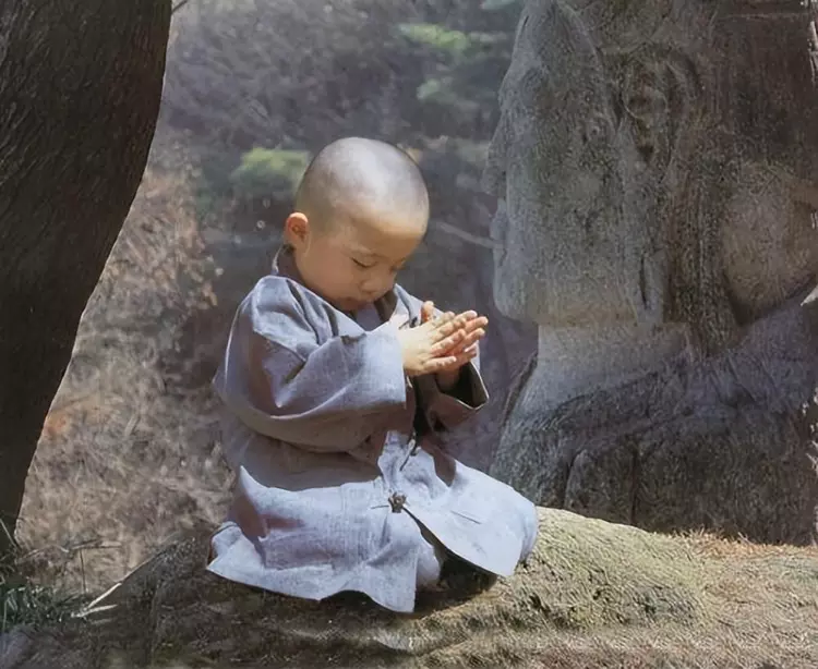 法证先锋5|游本昌:6岁出家,15岁还俗,52岁出演济公,晚年却赔得倾家荡产