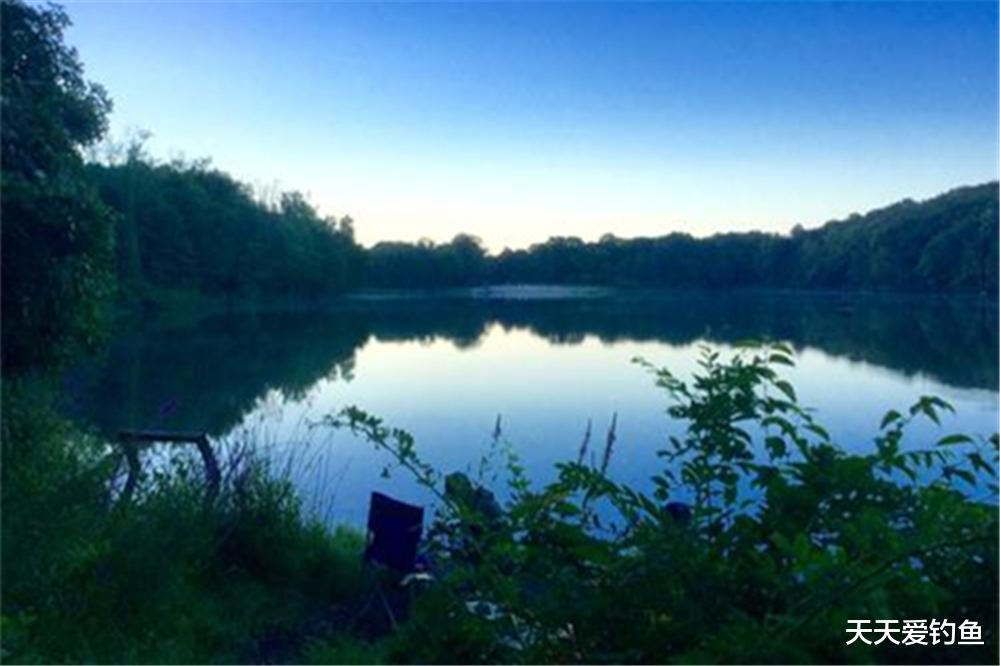 |春季钓鱼，面对醉眼迷离的鱼情，记住4个特征，爆护秘诀尽在其中