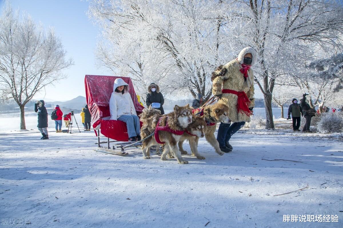 职场故事|职场中，表达谢意的时候要记住四个要点