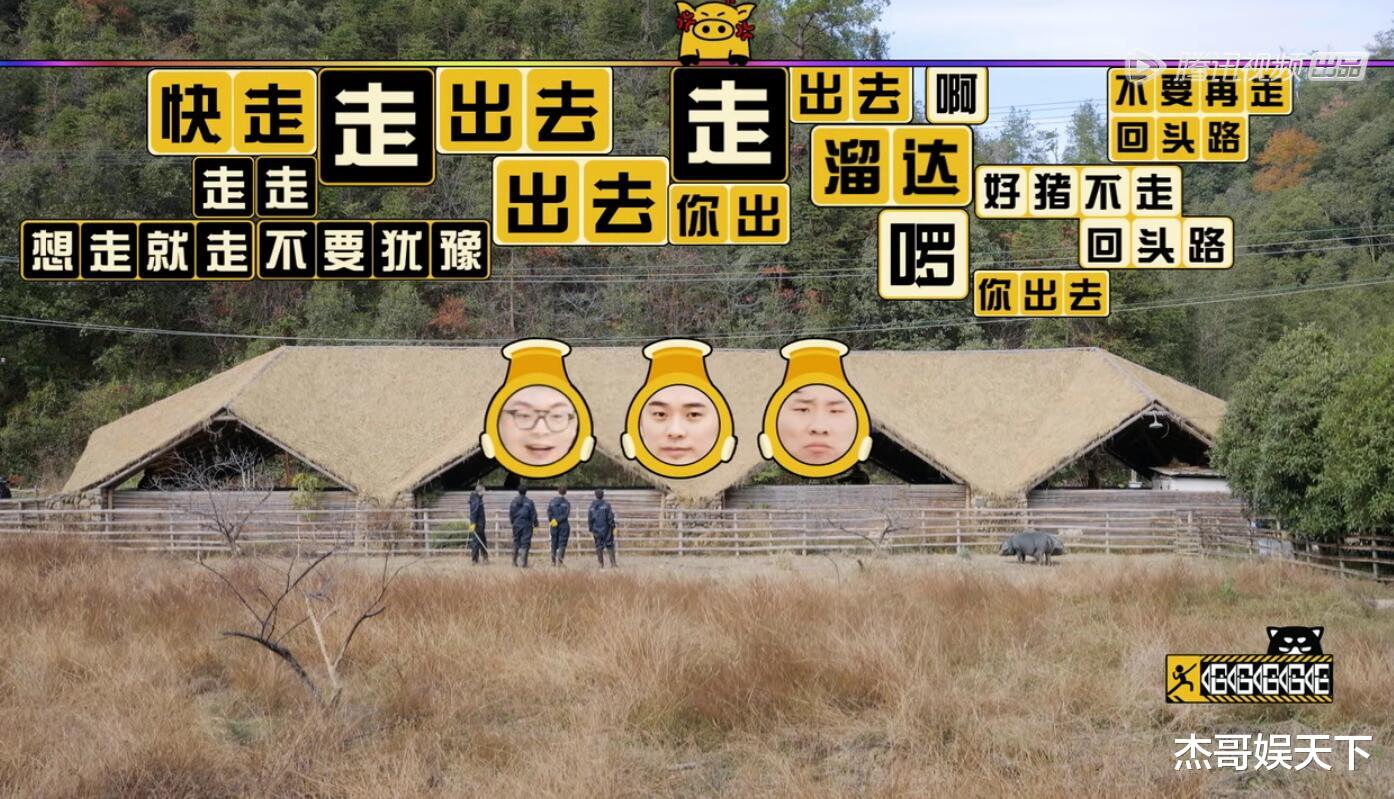 陈赫|《五哈》终于玩明白了，照猫画虎再次封神，陈赫功不可没