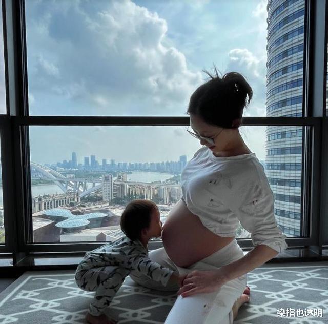 郑恺|苗苗向丈夫哭诉带娃太累，郑恺称你去工作我在家，反获清一色表扬