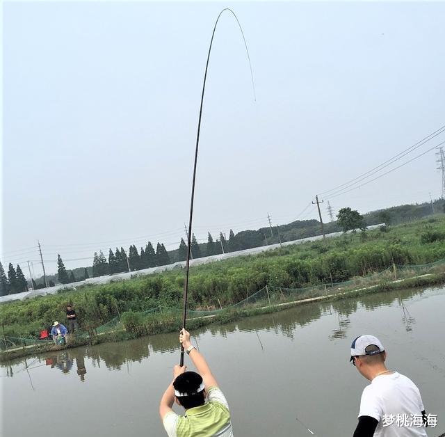 冀州|夏天钓大鱼遵守这些规则，改掉这些坏毛病，竿竿都是大弯弓