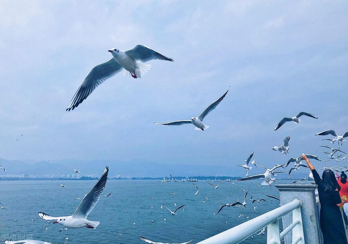 滕州|郭进拴|雨中游滇池