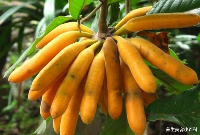 仅仅4种水果, 认全的不多, 第一种就难倒一大片!