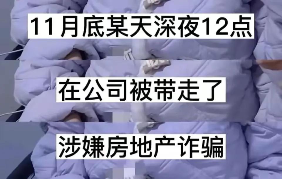 王丽坤|大瓜！曝王丽坤已被带走调查，老公涉嫌诈骗超8亿