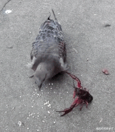 手表 “在五星酒店捡了个块手表，能值500吗？”