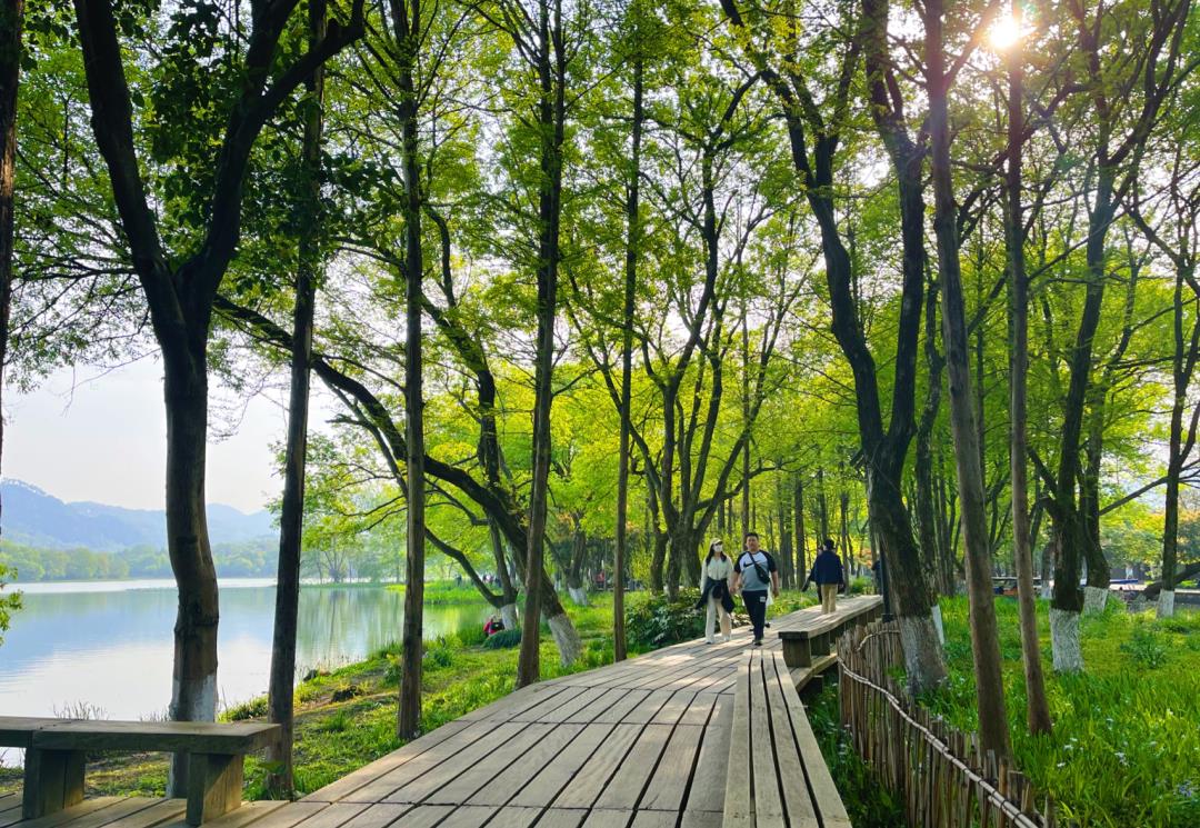 浙江省|浙江6条初秋宝藏古道，人不多，够惊艳，挑一个9月就出发