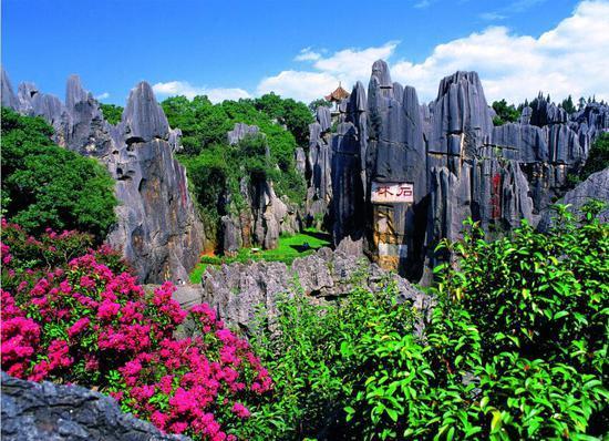 云南|云南绝美景区走红，由非常密集的石峰组成，吸引无数游客来此游玩