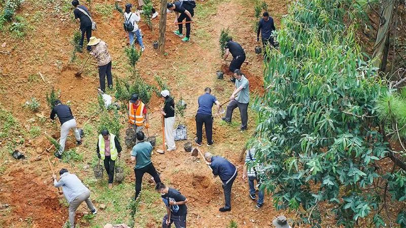 新疆维吾尔自治区|巩固提升景观质量 满足游客需求 “绿美云南·绿美景区行动”在昆明世博园举办