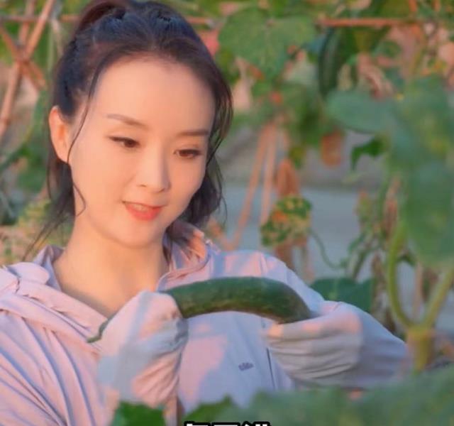 明星|8位明星下乡干农活：60岁曹荣喂猪、赶牛，王艳带手套摘豆角