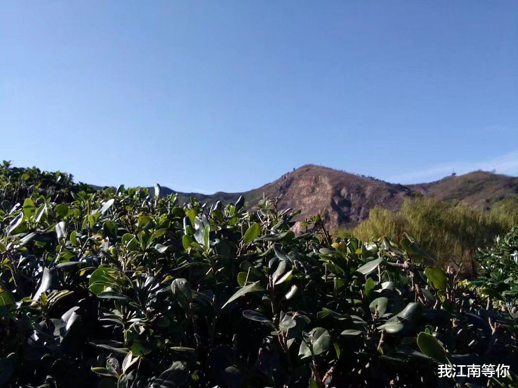 男子进入荒庙,发现荒庙里的地洞中,有8个年轻女子