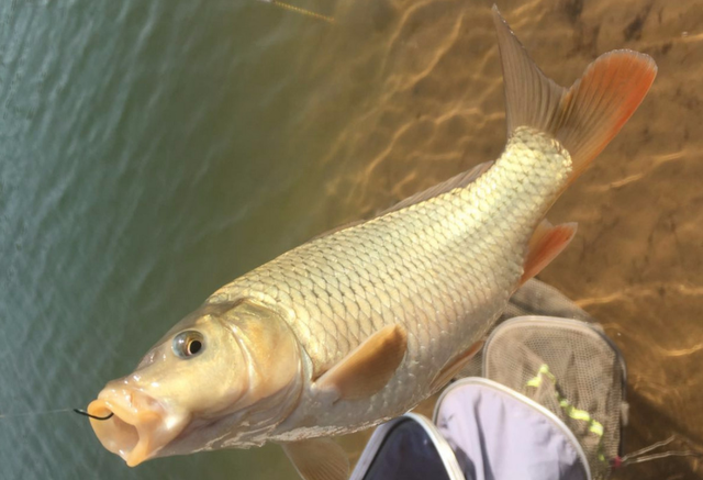 |钓鱼不是天大的事，别因为钓鱼耽误正事！