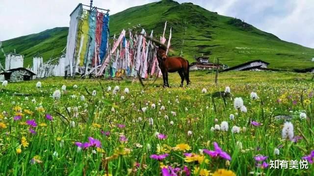 旅行|夏天出发最合适了！国内10个小众旅行地，一键开启“静音”模式！