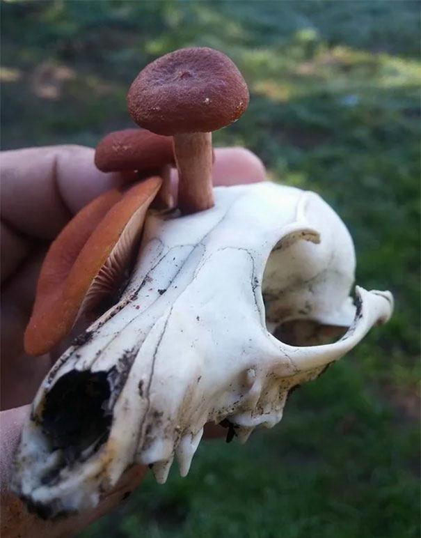 20张证明图片 大自然的奇观
