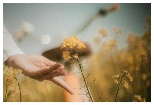 |聪明人的一大特点:学会低调,你将事半功倍