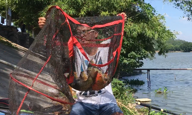 灵敏度|想钓好鲤鱼先用对浮漂，一条公式确定吃铅量，新手照用准没错