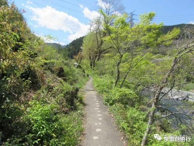 jr|东京周边这些溪谷，避暑好去处！