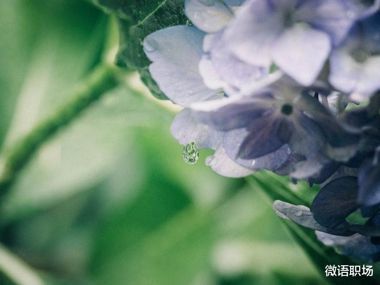 |老领导酒后吐真言：想在职场混得好，要看清8个生存法则，别傻干