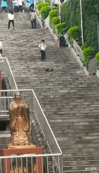 书法|“去领导办公室，看不懂的书法不要乱读，更不能笑！除非忍不住...”