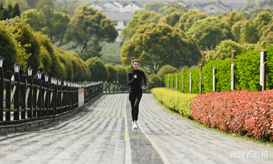 陈珊|《完美伴侣》：精英式人生，还要抱怨家庭工作两难全，过于凡尔赛