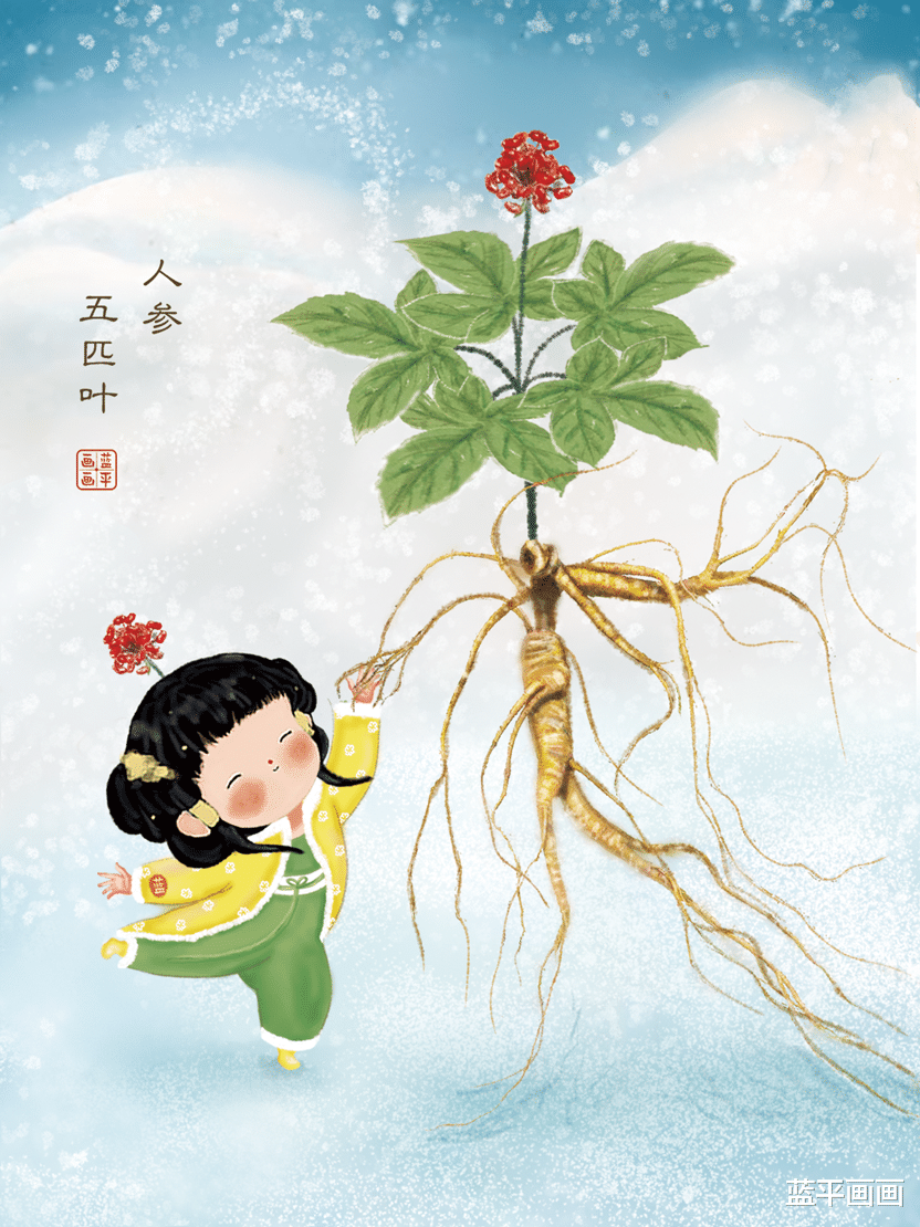 人参的知识｜可爱国风插画