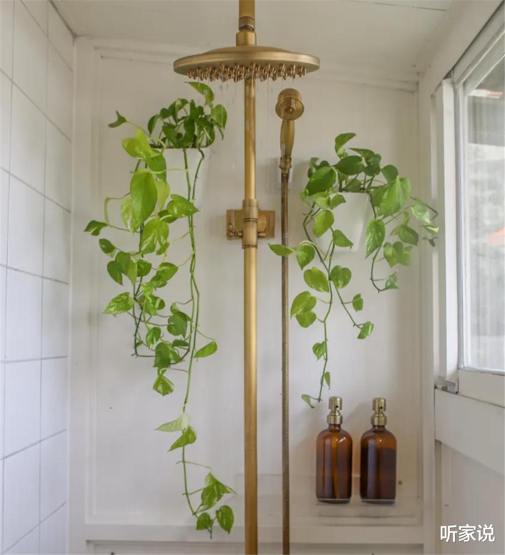 台北29岁姑娘买下55㎡小家,入住两年,老破小脱胎换骨,差别太大