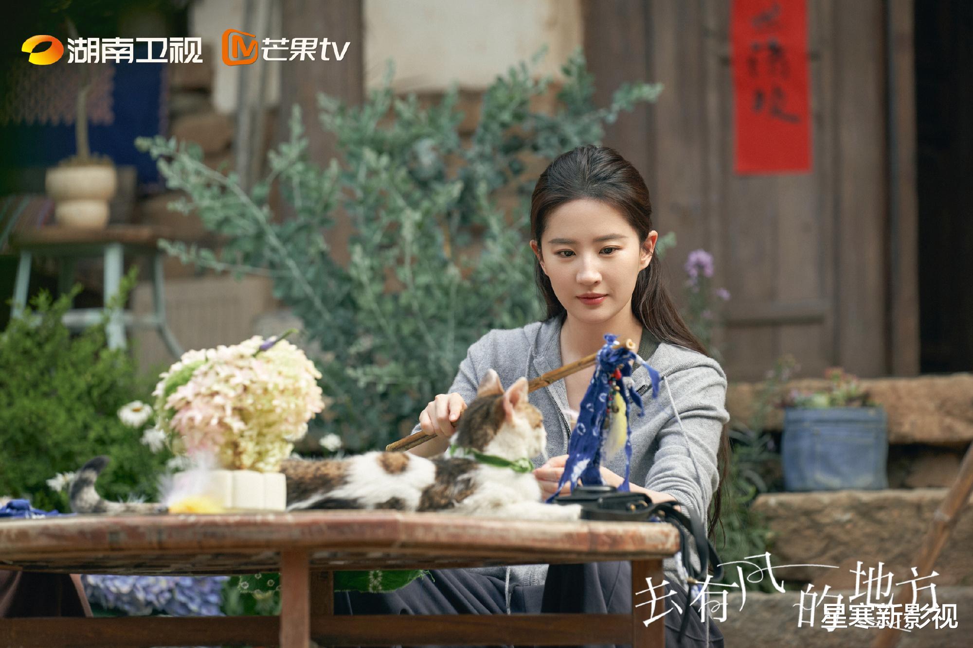 浮图缘|热播剧评分出炉:《向风而行》低于预期,《浮图缘》未进前二!