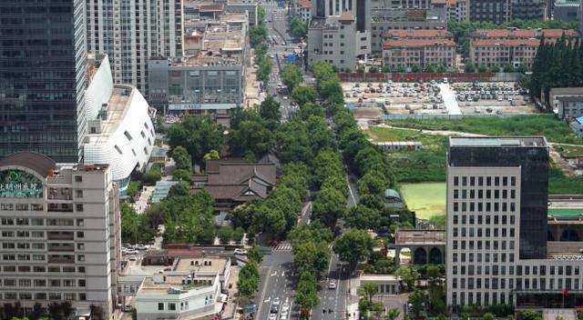 荷花|浙江有3座“不起眼”的小城,悠闲慢节奏,择一城终老,你会去哪