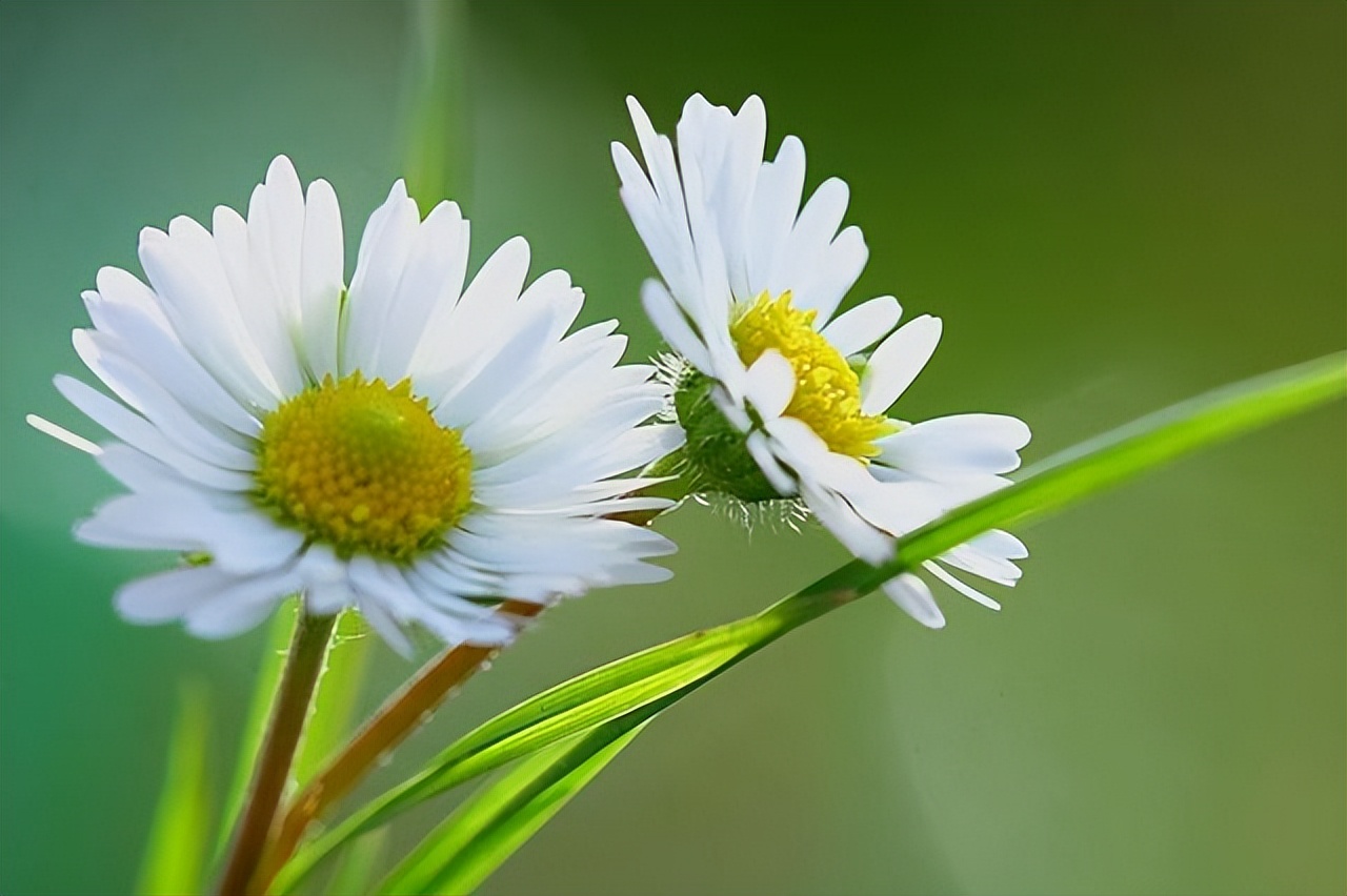 社交|不发朋友圈的人，不一定是低调，还有可能是这三个原因