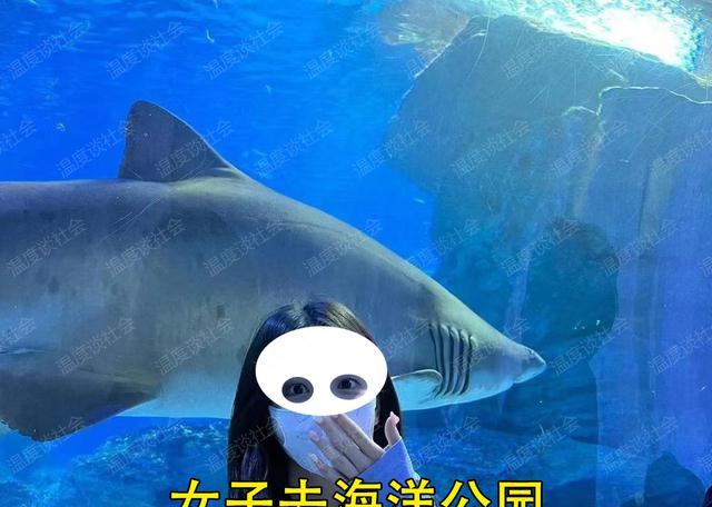 衣服上有纹理?一女子去海洋公园看鲨鱼,她衣服上的纹理引人注意