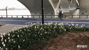 董子健|孙怡、董子健财产或已分割完毕，婚变时间曝光，婚姻六年未办婚礼