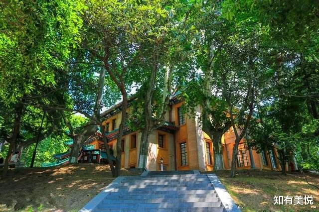 梯田|特别适合夏季旅游的9个美景地，收藏起来，加入你的出行计划吧！