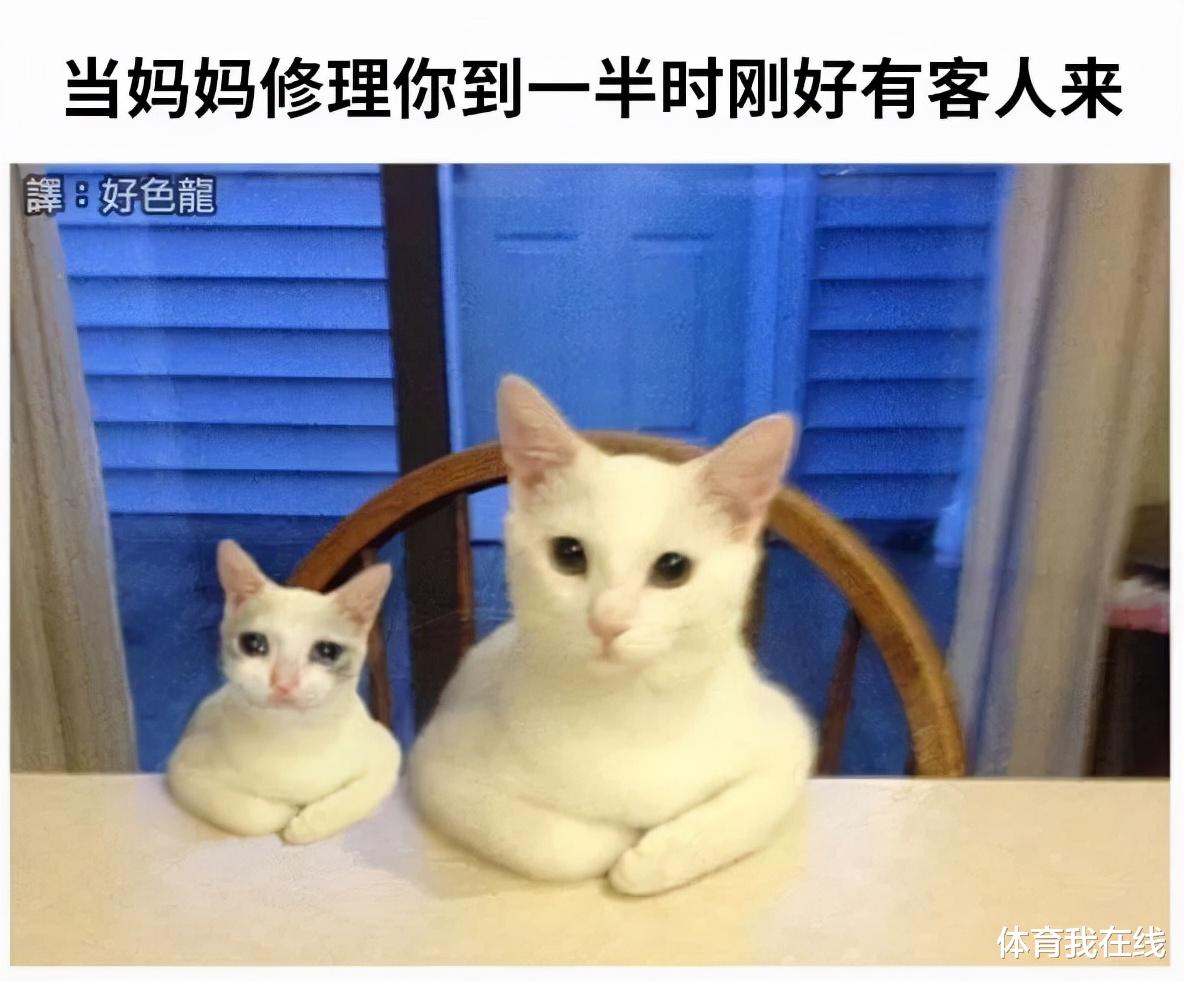 叛逆者|“乔杉如果在洗脚城被抓，会退出演艺圈吗？”神评笑死人，哈哈哈