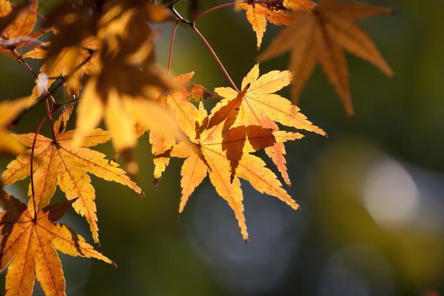 招聘|你不必有多完美,只需要更有勇气