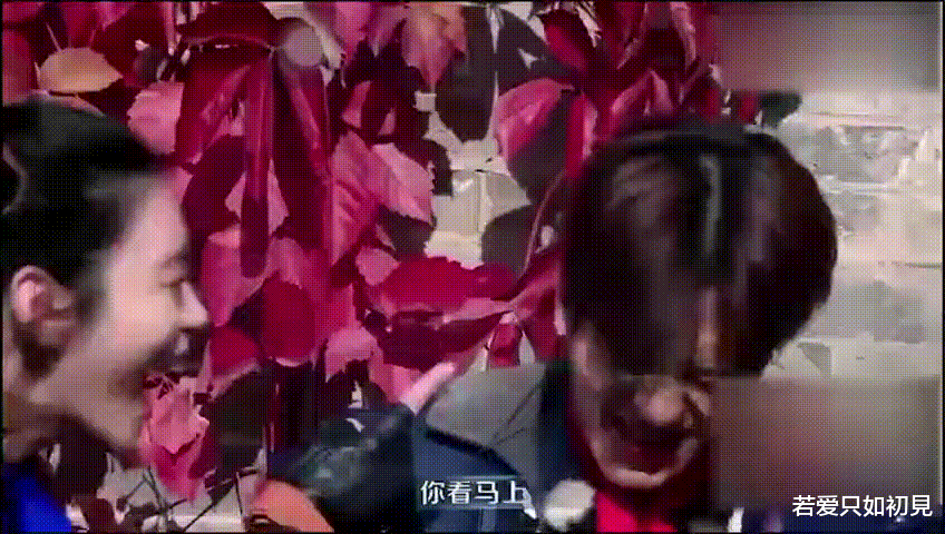 明星|踢路人、当街小便、脚踩高铁桌子，这些明星素质一个比一个低