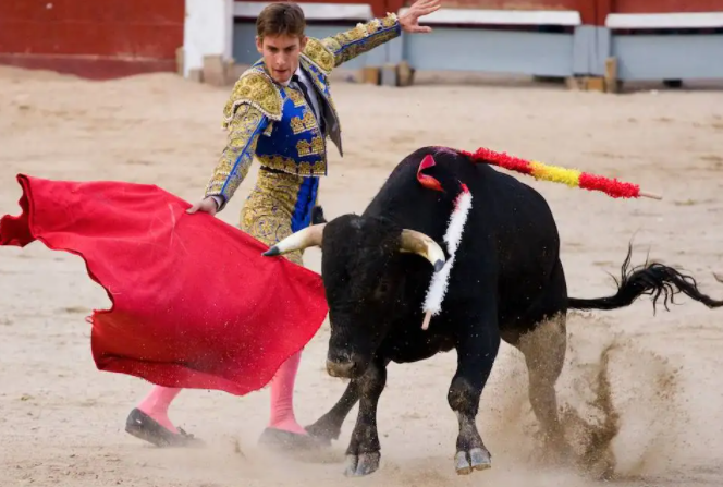 汉江|闻名世界的西班牙斗牛，是促使这个国家，旅游业发达的原因之一