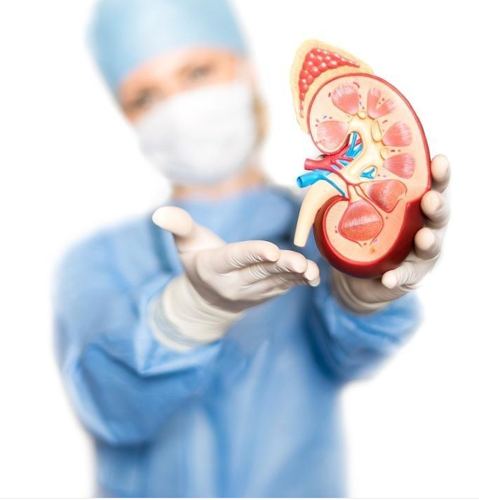 便秘|终于找到肾结石的“元凶”了！这4个诱因，请你早点避开