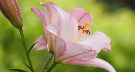 求职|不喜欢职场工作，还能有其他选择吗？能自己干吗？