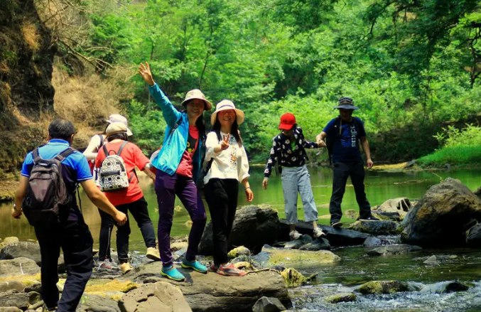 运动|多名院士呼吁:肝脏喜欢“3绿2红”,能清肝火养肝血,再穷都要吃