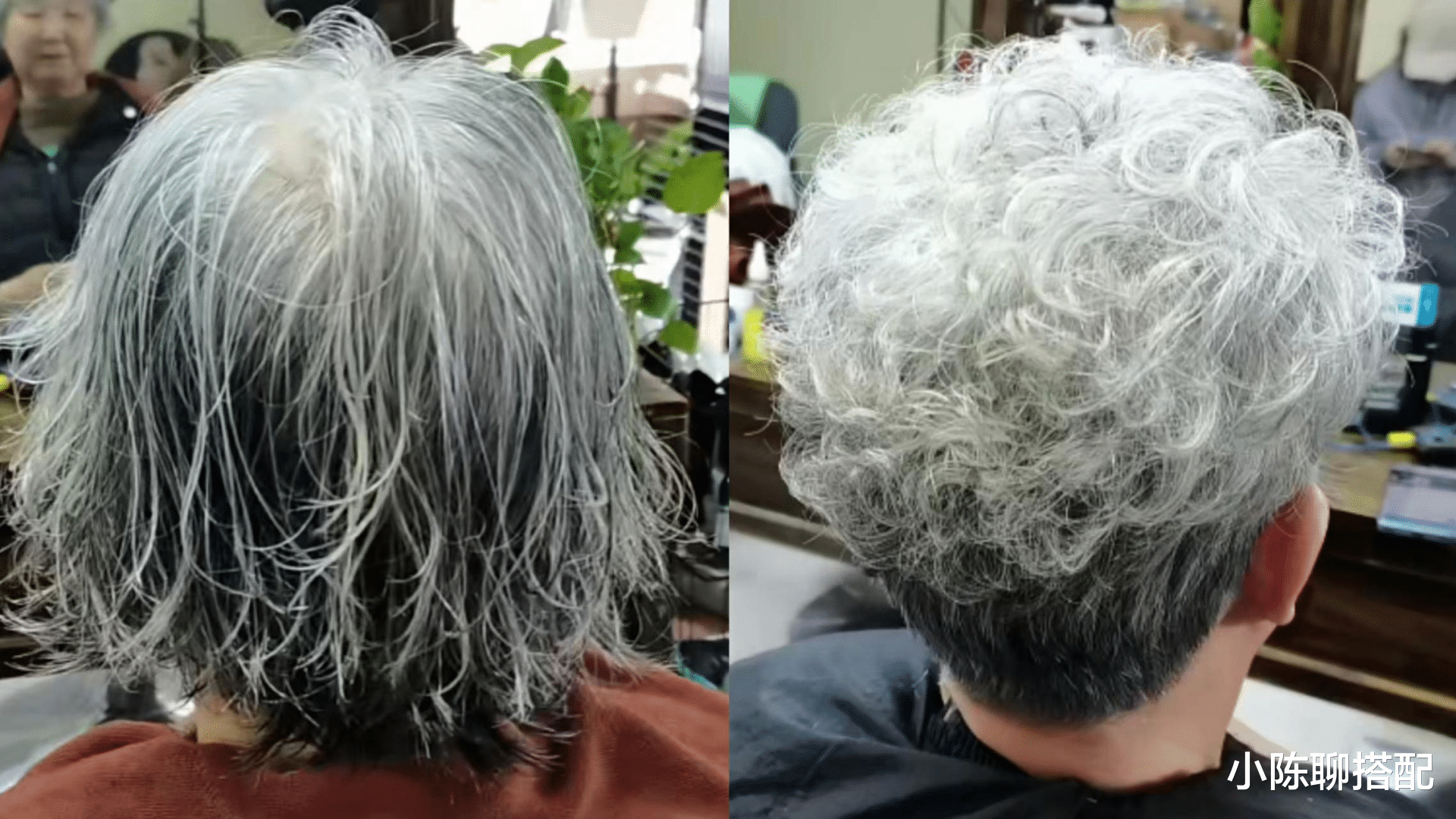 发型 60+的女人，今年流行白发“不染”，这几款白发造型，时髦又洋气