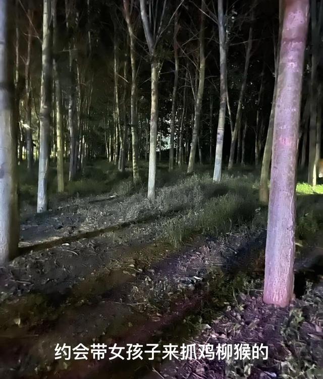 河北女子跟男友约会,结果男友带她去抓知了,加200块钱油抓了7只