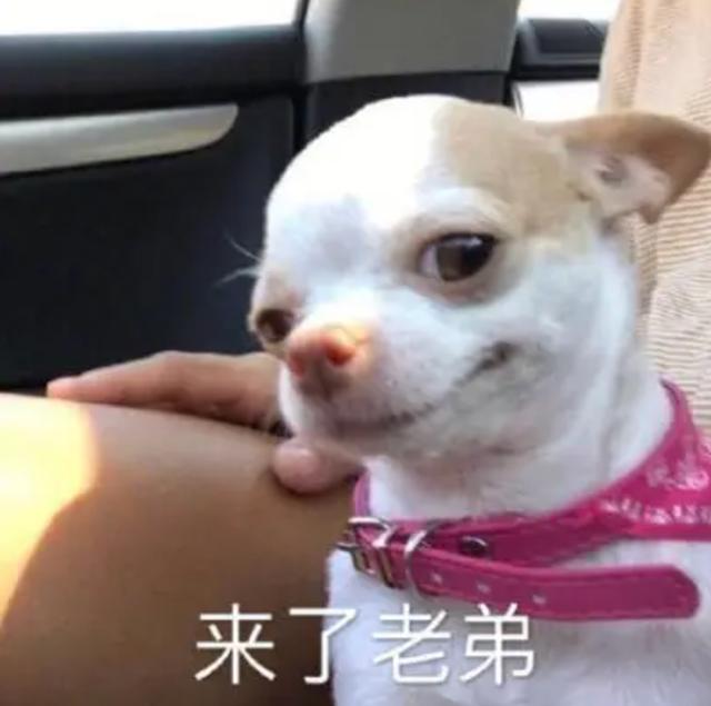 高通骁龙|降价：几款骁龙8旗舰手机，已经干到2379元