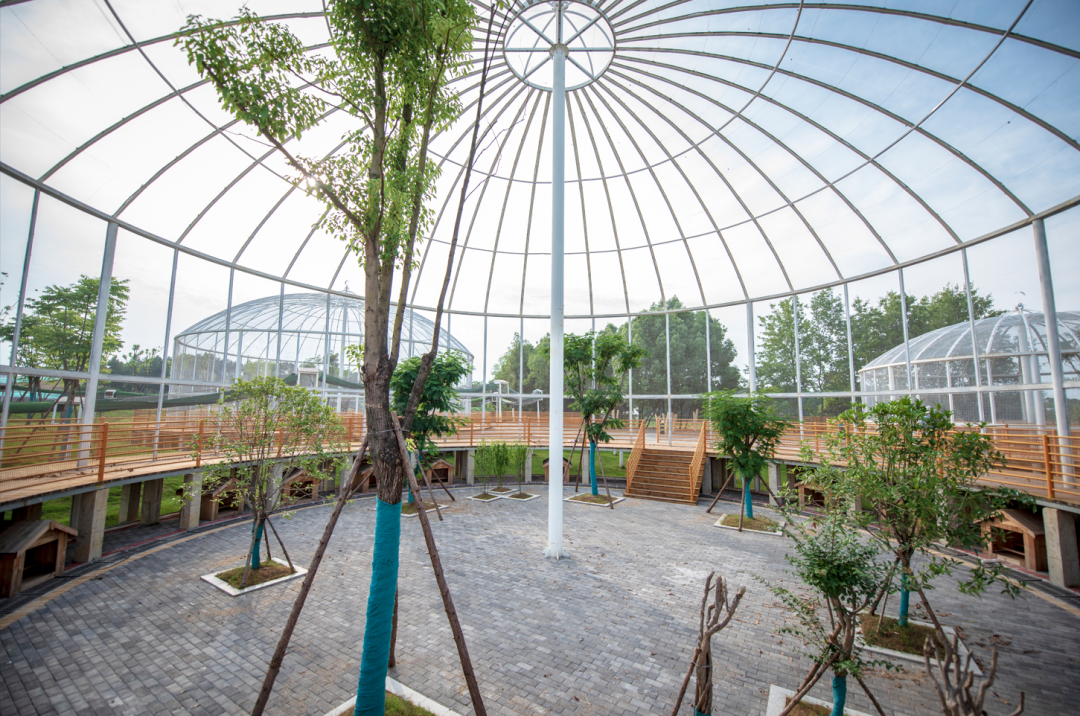 身份证|初冬，这里超萌！