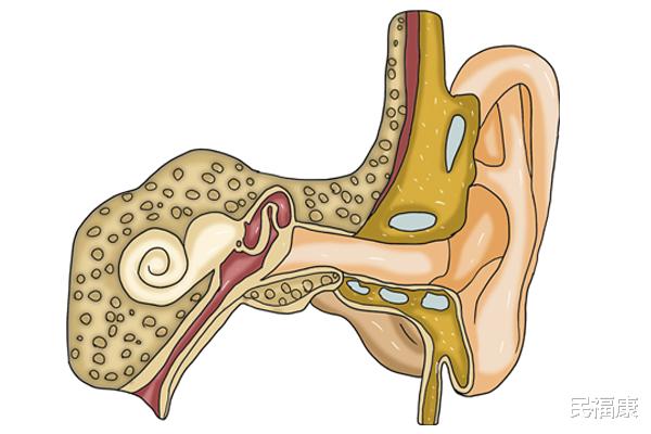 |掏耳朵很舒服，但经常掏耳朵，这些风险趁早了解