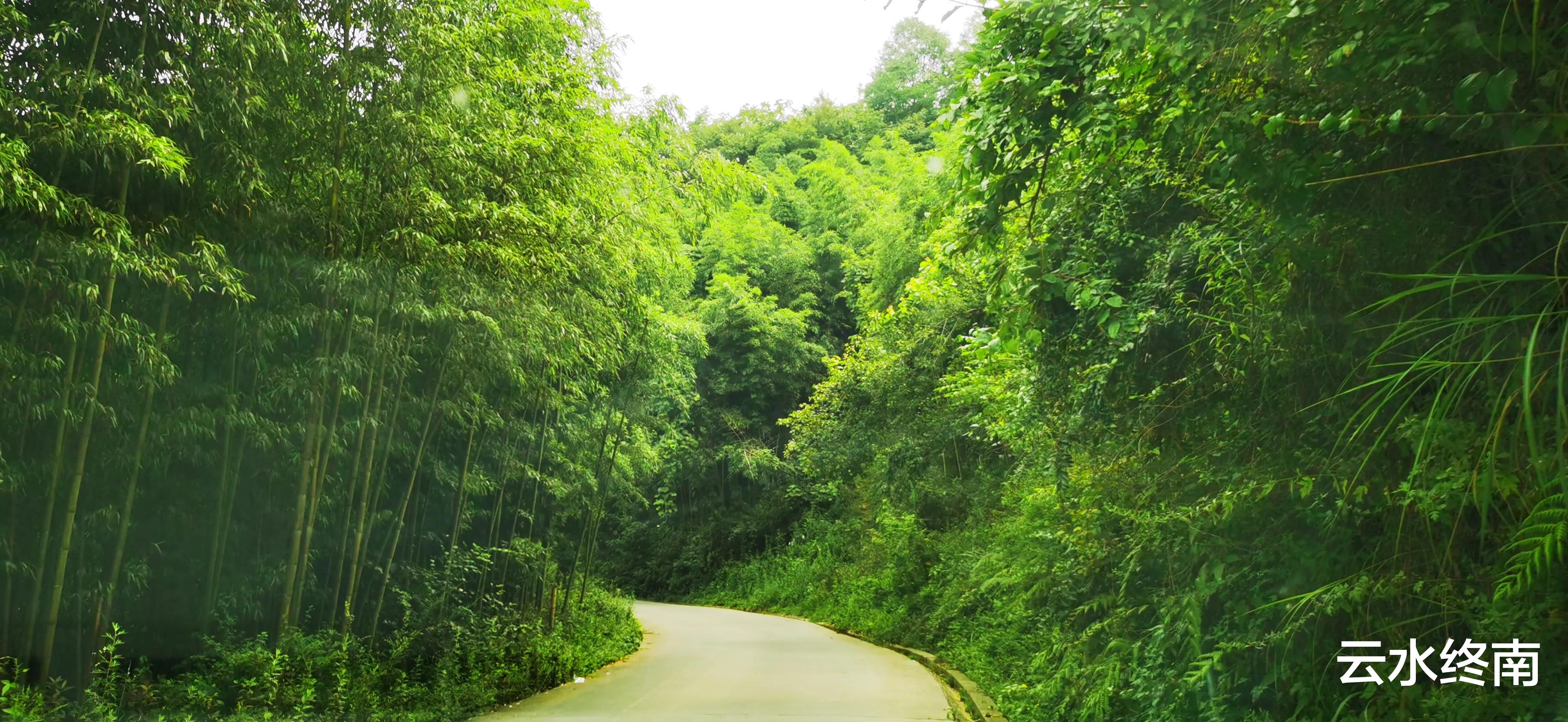 |在汉江边坐2元钱的渡船,两个小姑娘给我们付费,还请我们到茶山