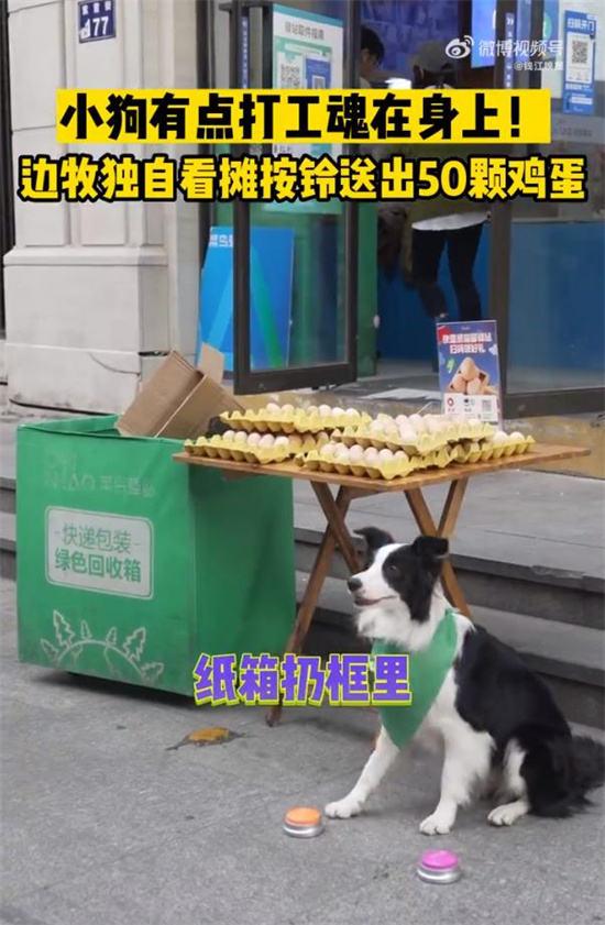 天猫精灵|波司登降价了，降了0.28元 / 推特要学余额宝？