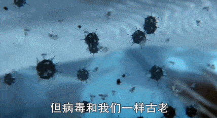 病毒的终极目标是为了杀死宿主,还是和宿主共存?病毒传播很复杂